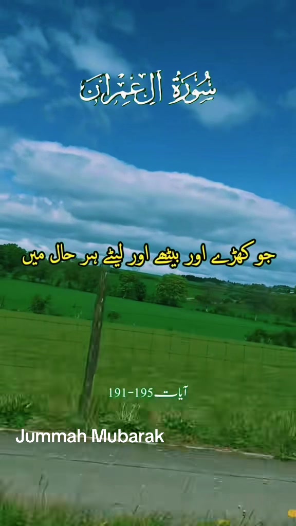 @Vaneeza khan🏴