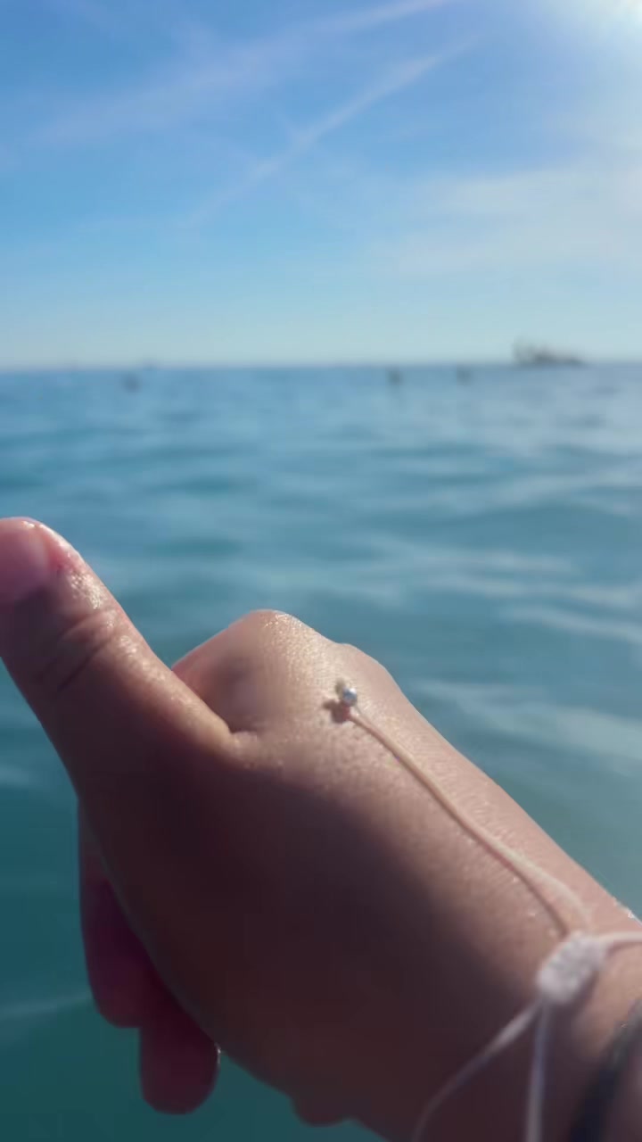 @Privato_☀️🐬🪼