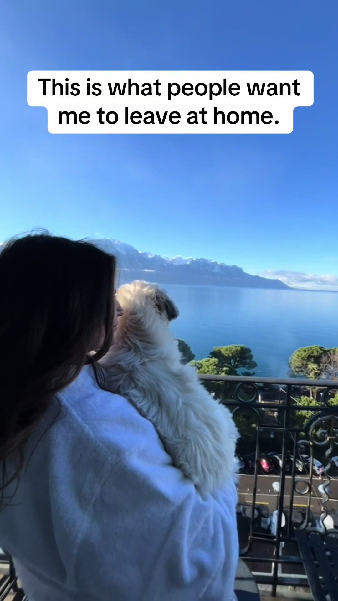@Daisy | The Dog Travel App