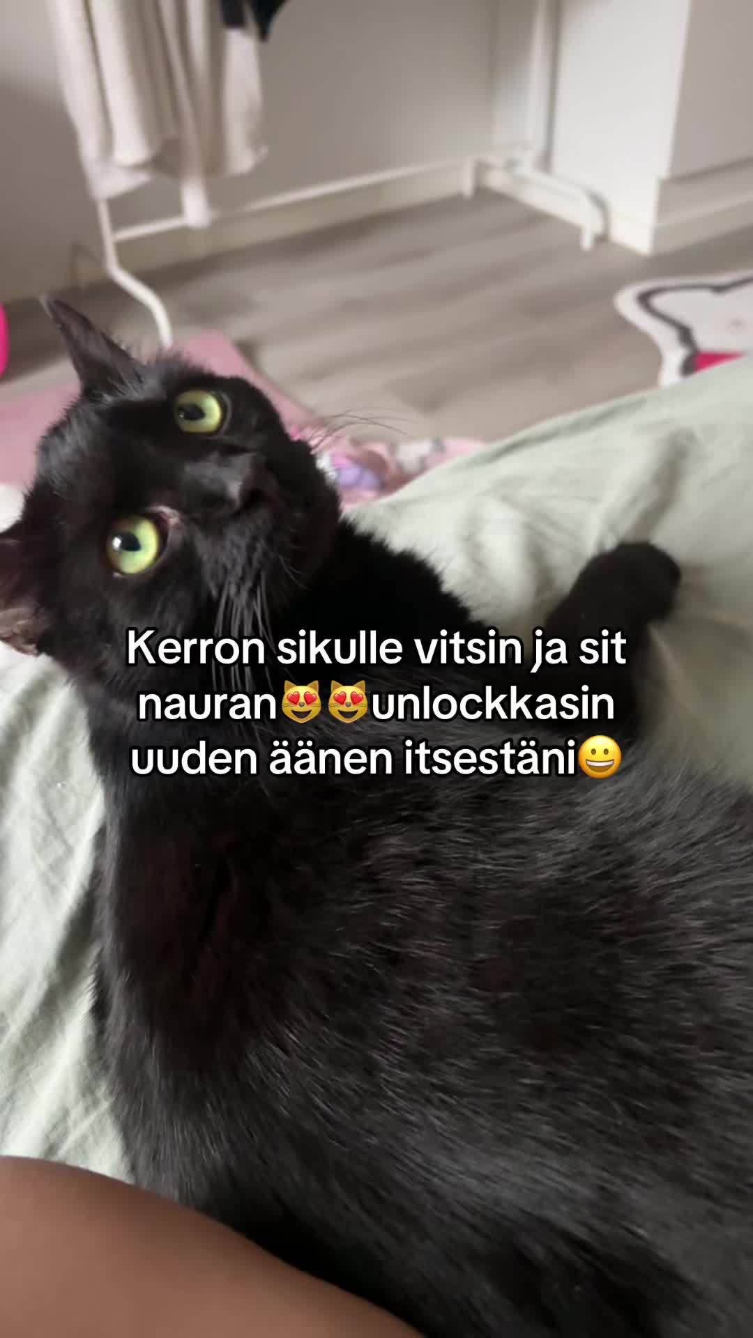 @kisumirrimau