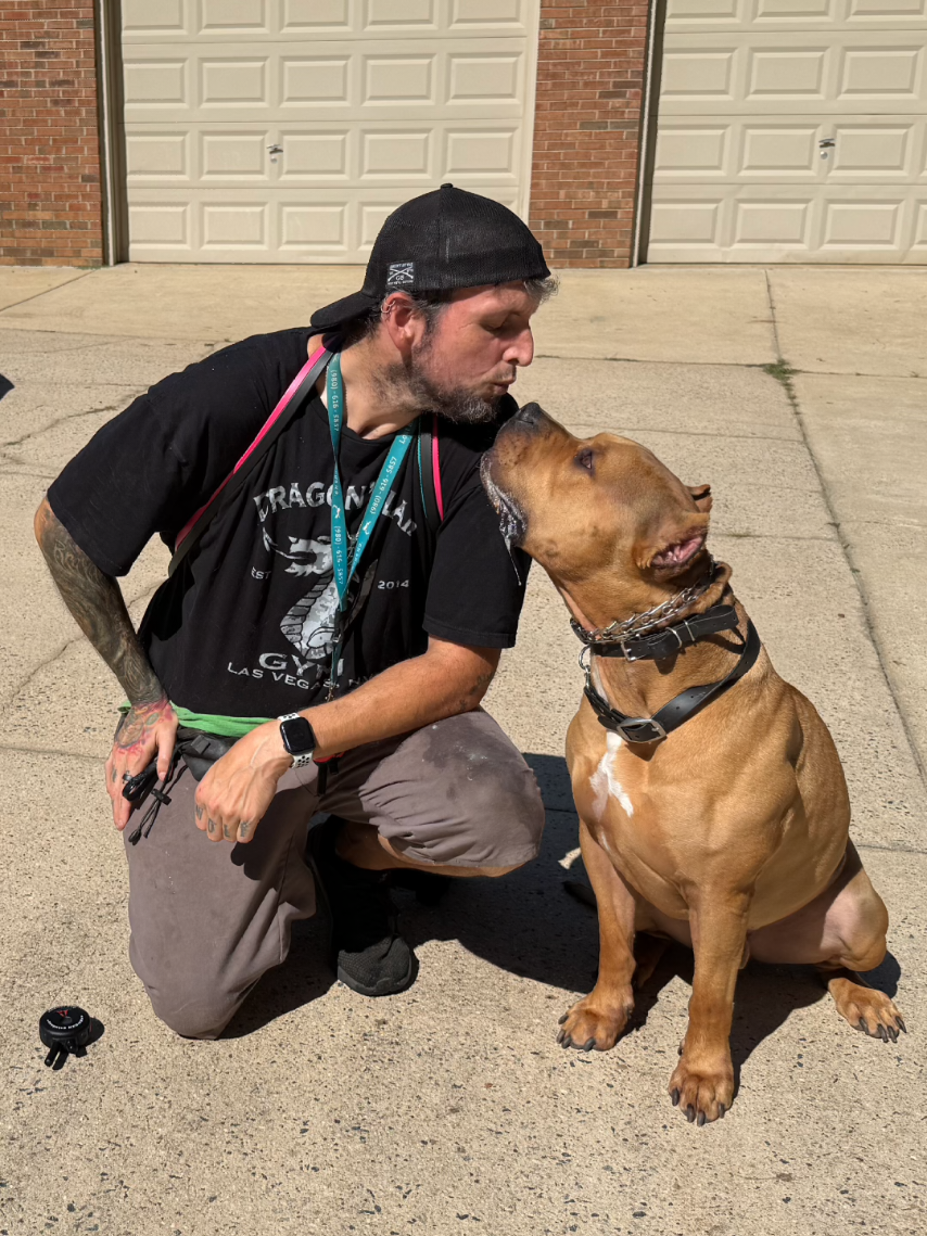 @Lost Boys K9 Academy