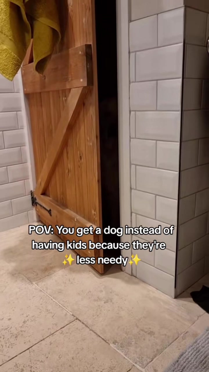 @Bailey
