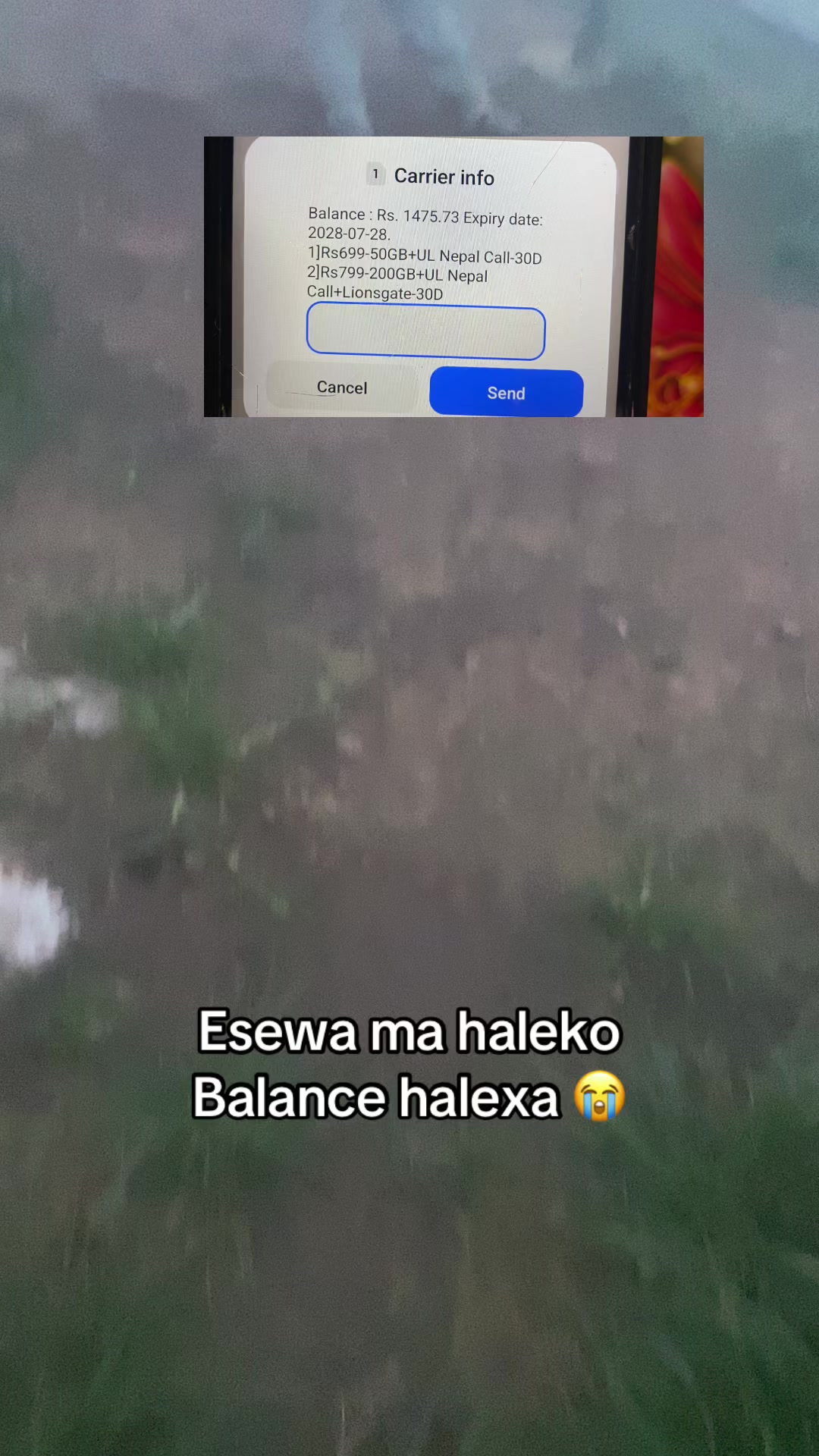 @laley1