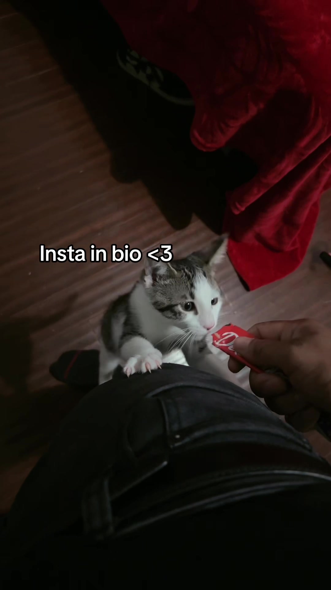 @rubys_reverie