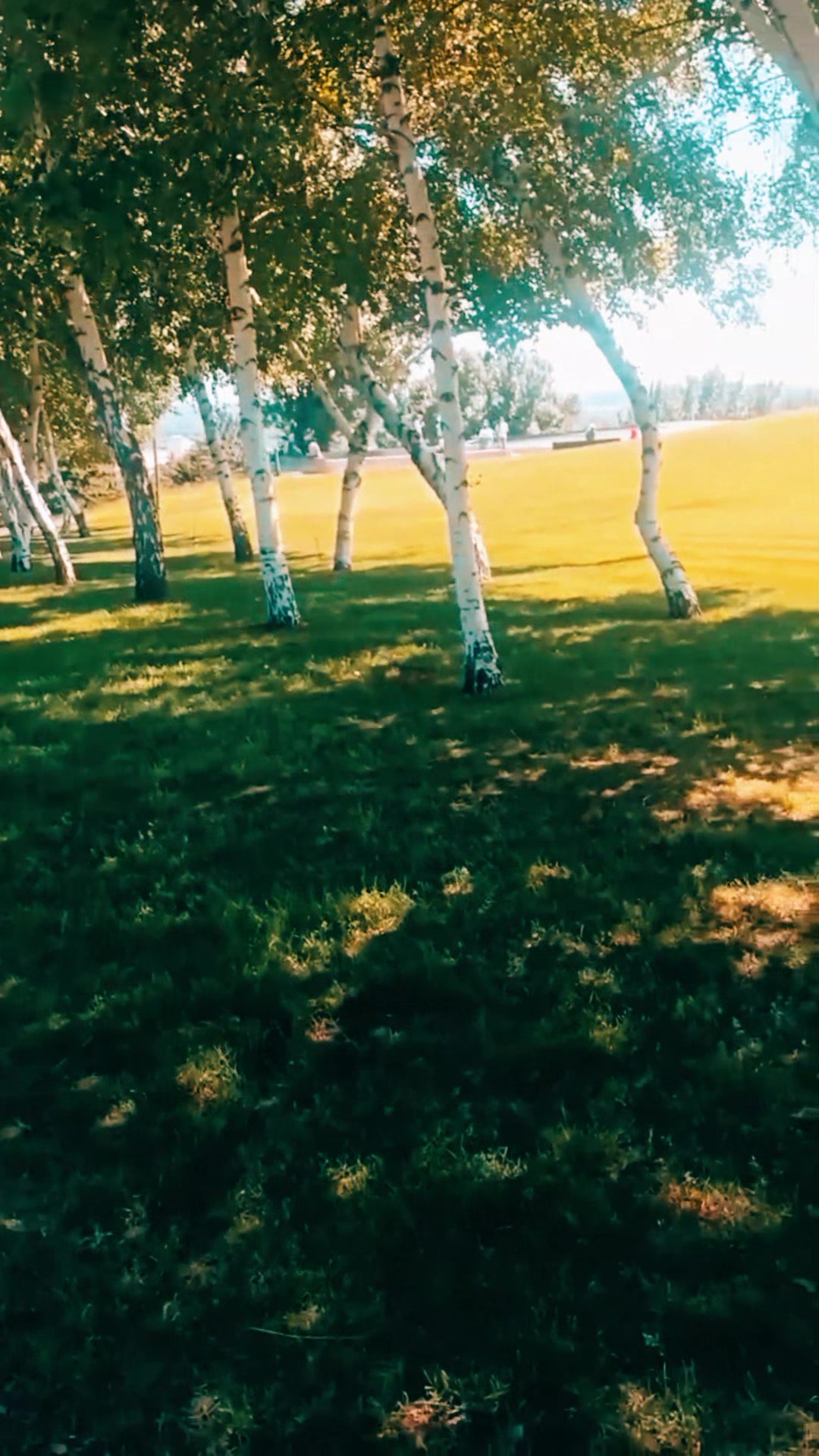 @NM_VUPSя34ru