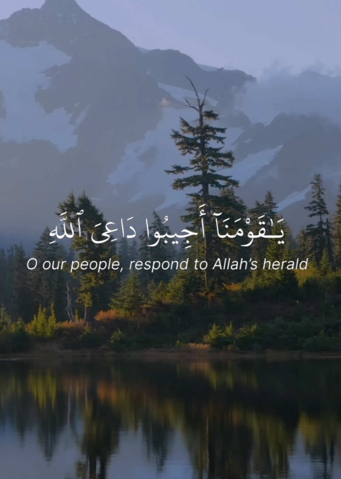 @Quran reciters