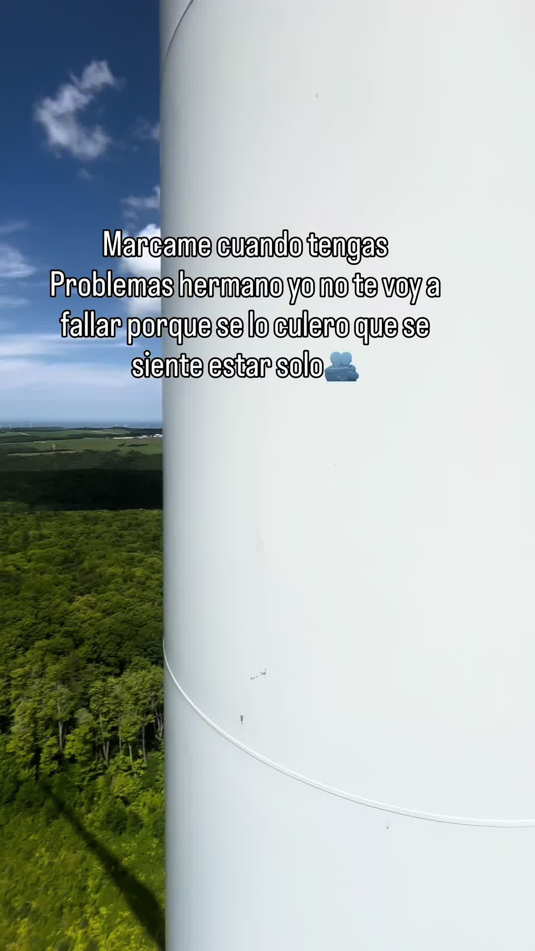 @icg.wind