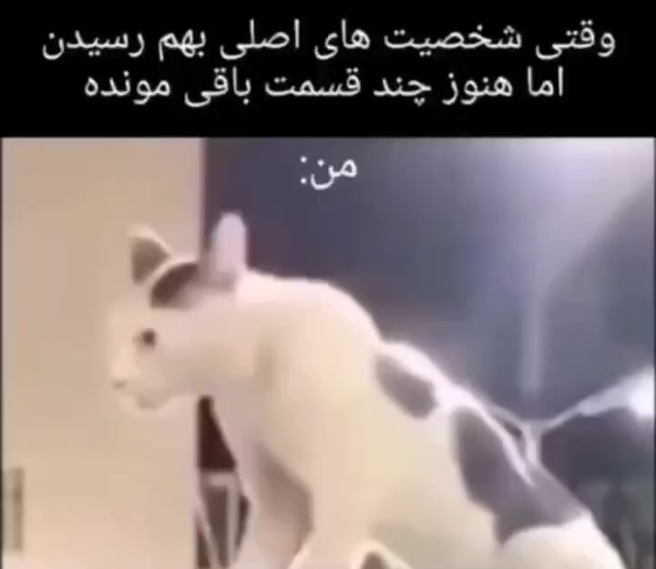 @𝕿𝕬𝕹𝕴𝕹