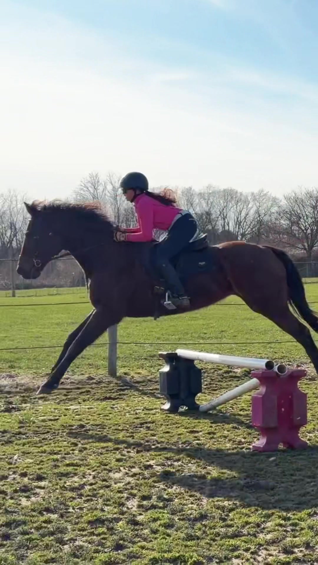 @Lorraine 🐴🩺