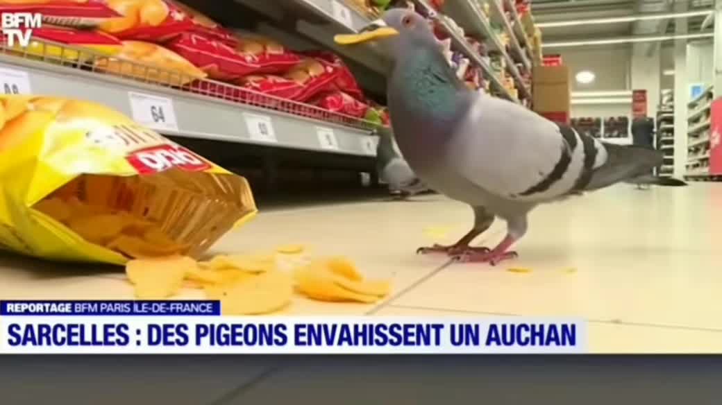 @🇦🇲