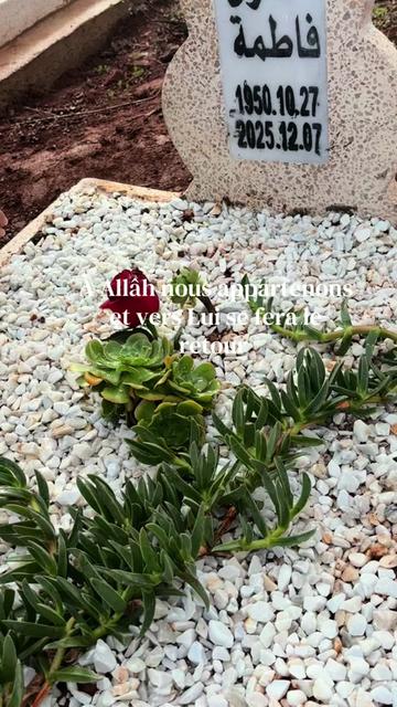 @Mimi🦋
