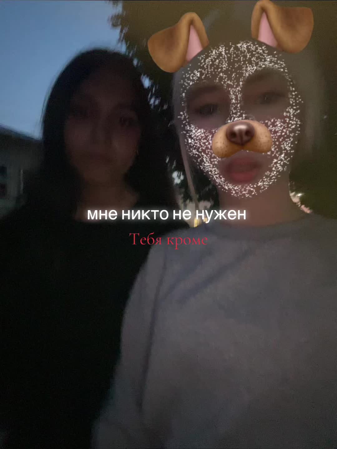 @Лерок 🐰