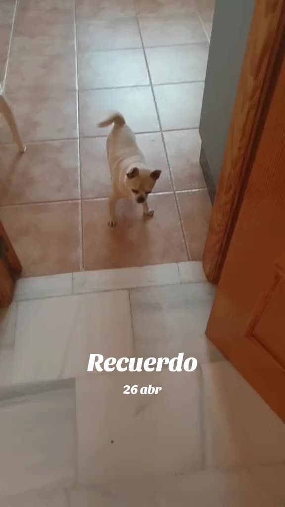 @bycgranada