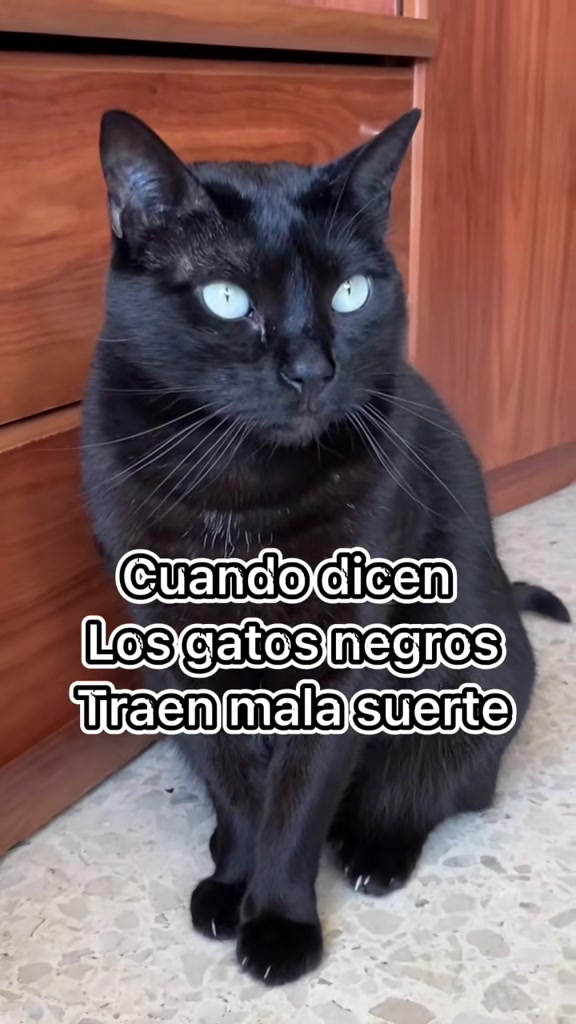 @BlackMisy