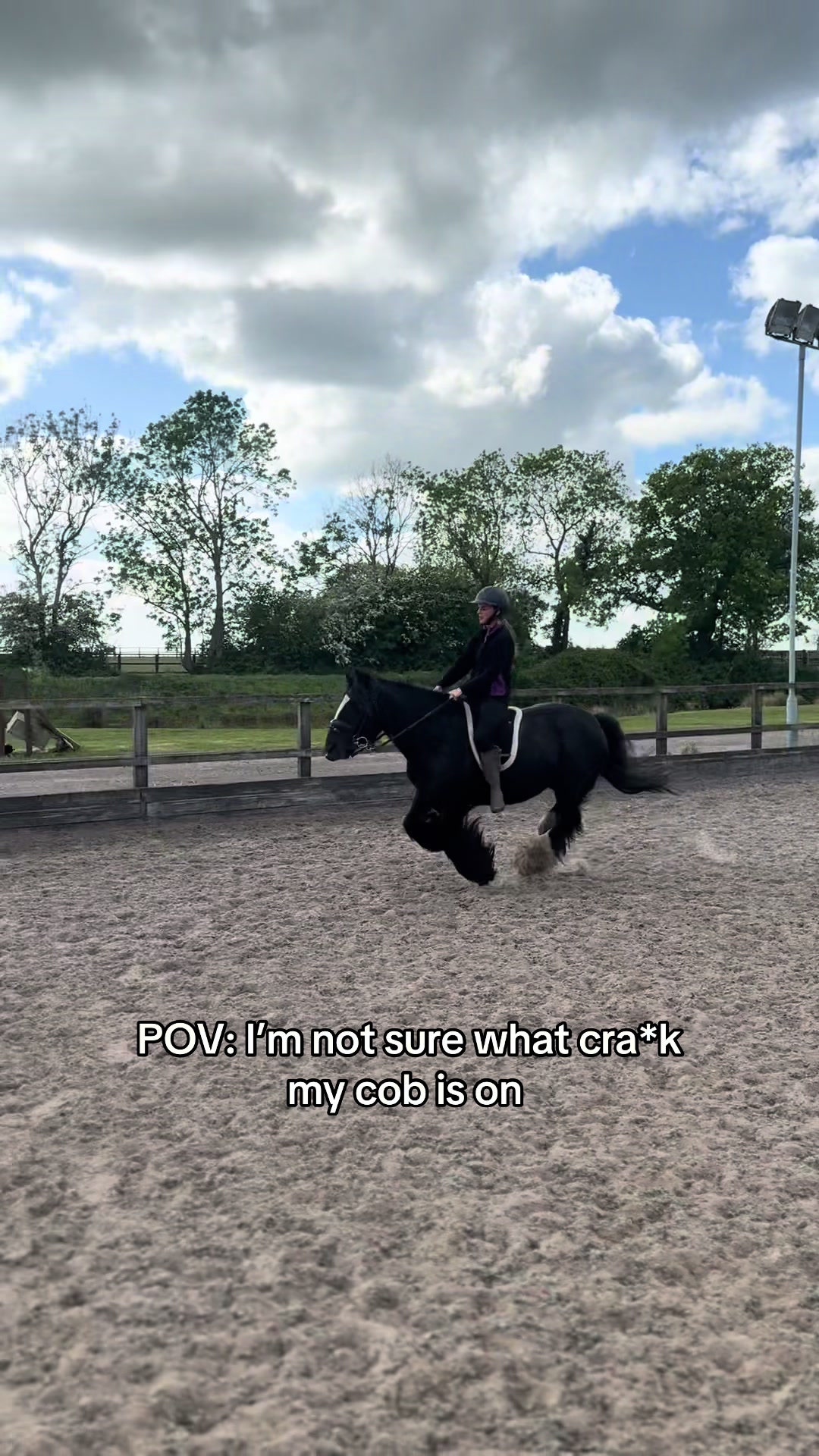 @Sophie&merlin🌸🐴