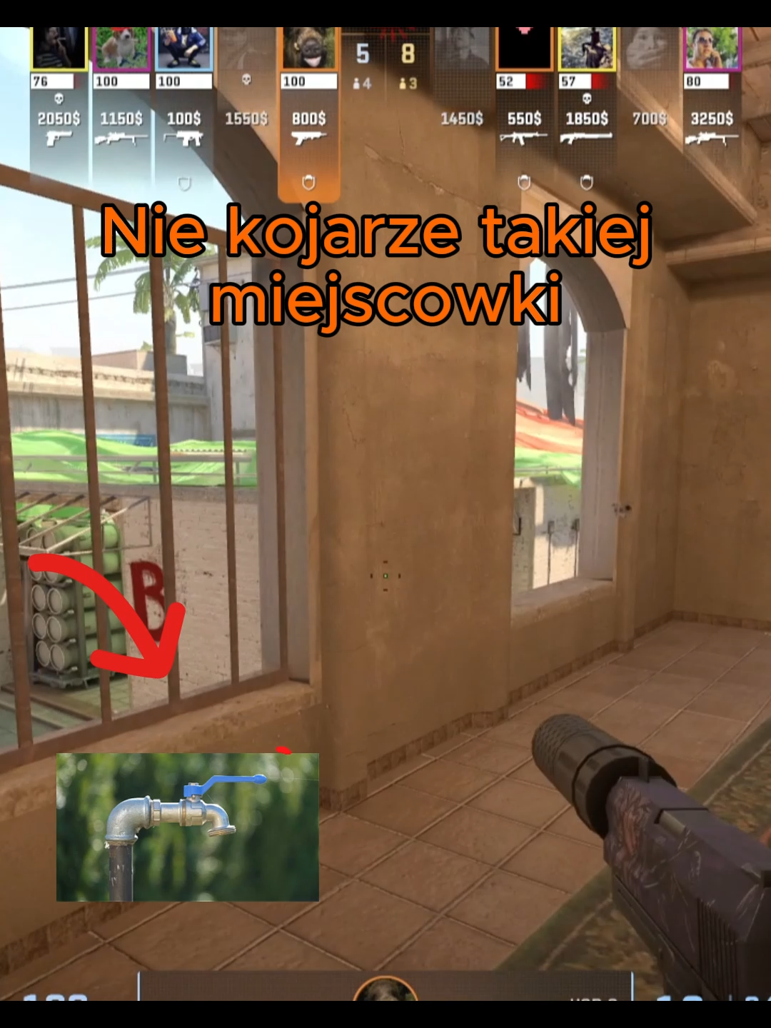 @Csowy.swirek