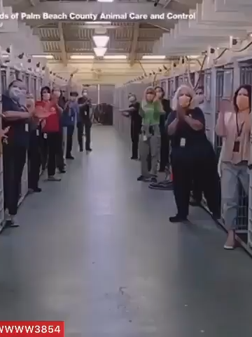 @user1253083083448