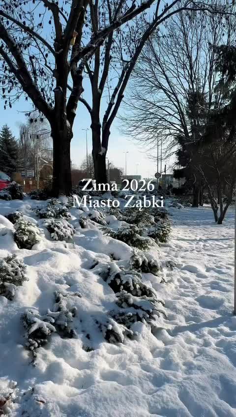 @Ząbki_Press_🎥🎤