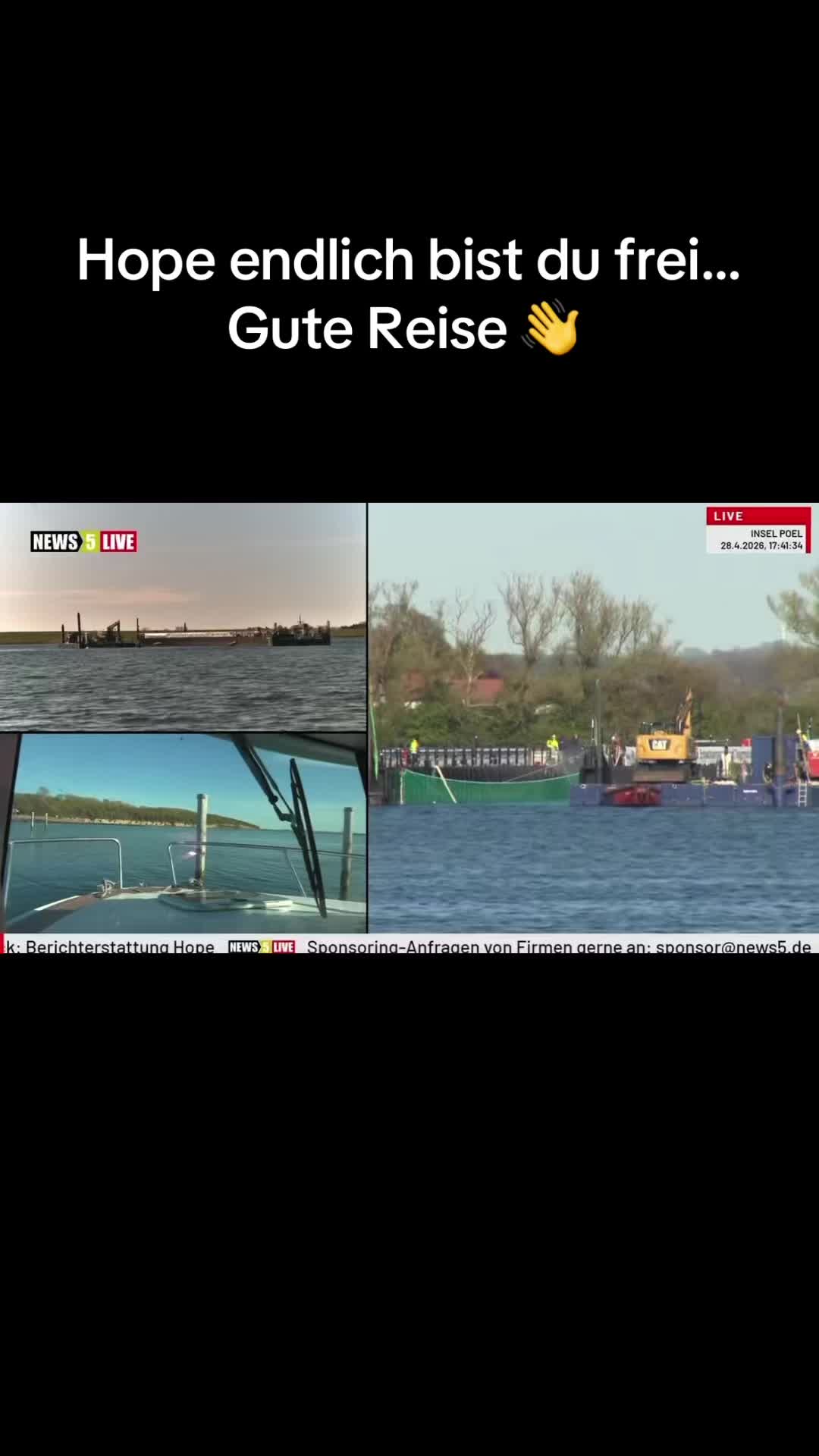@Rettet Hope 🐋