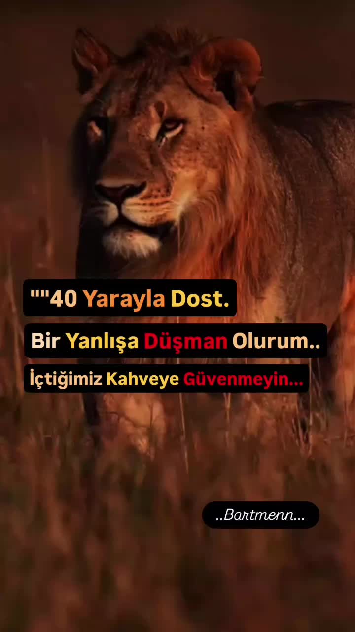 @Bartmenn