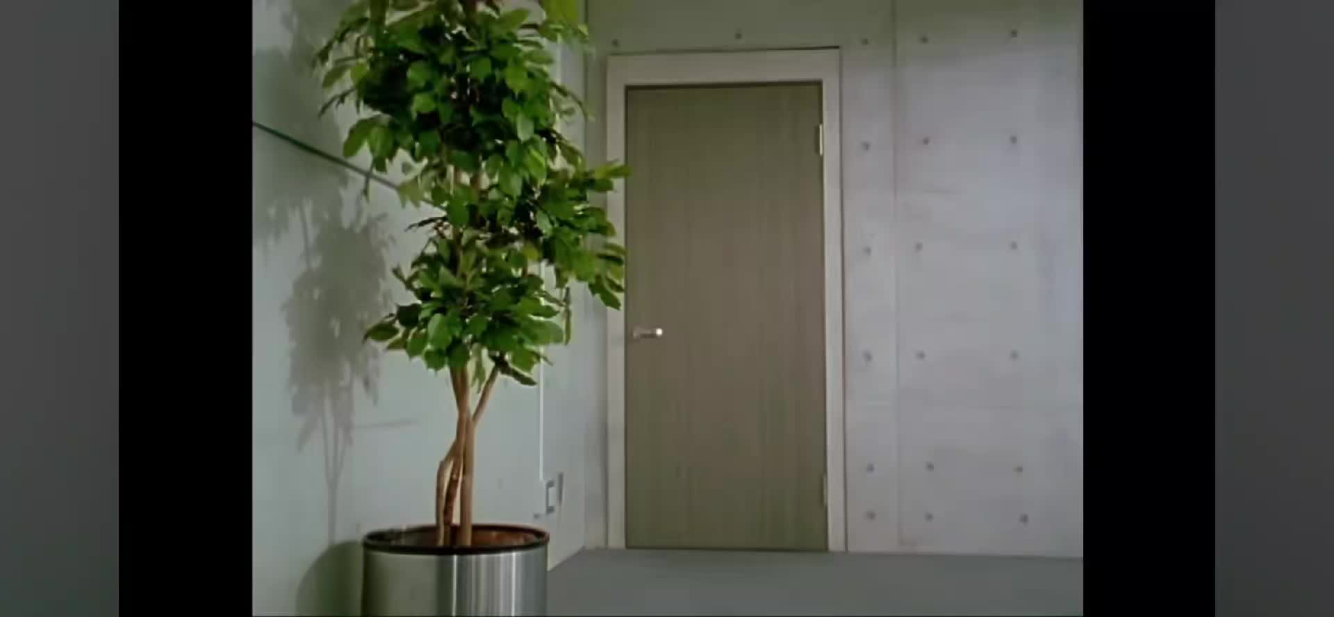 @GhostbustinGokaiYellow
