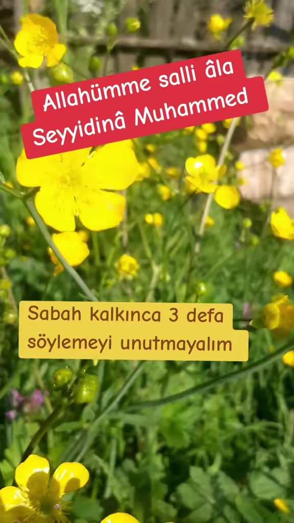@naciye78