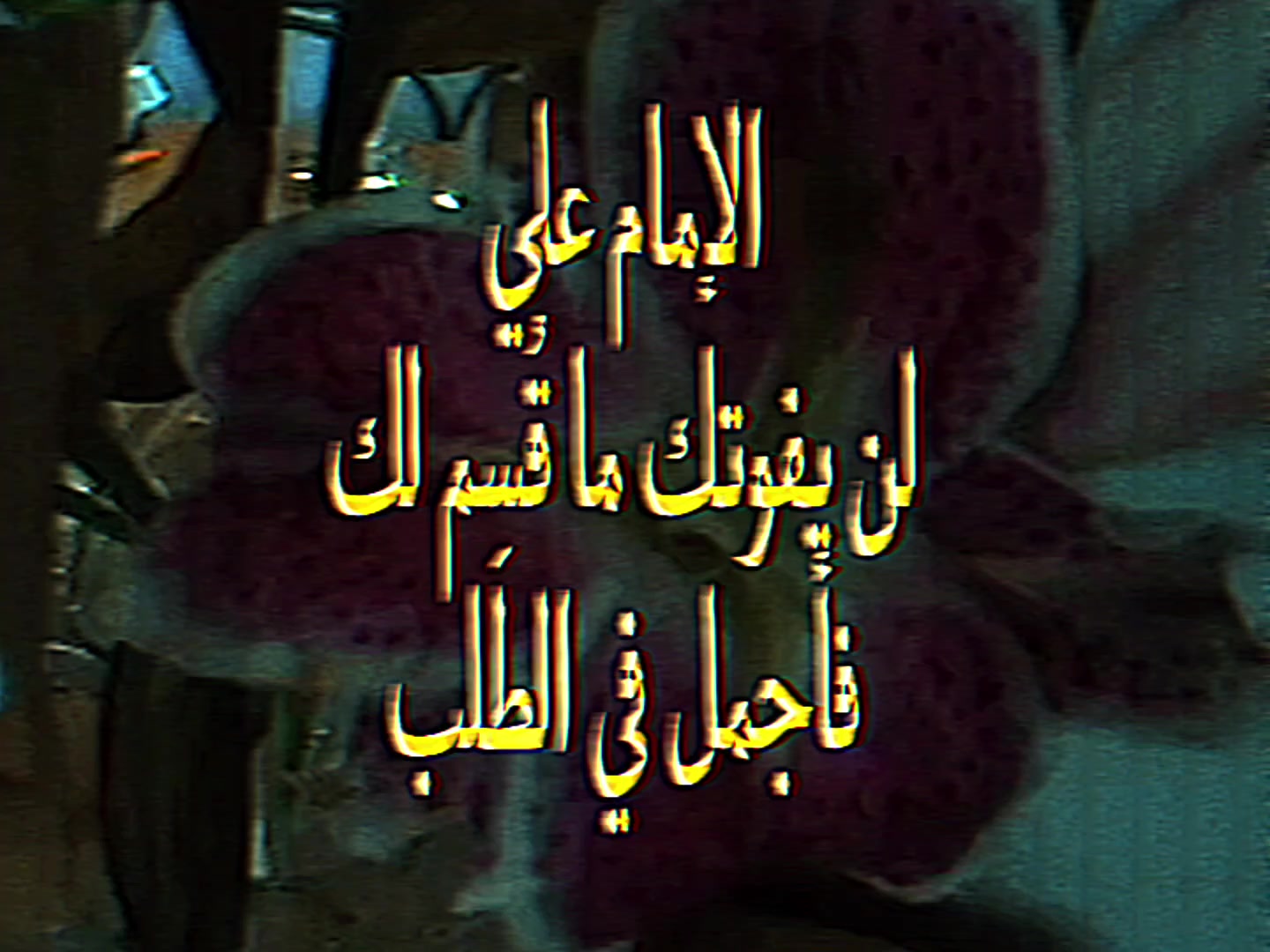 @اني باقر