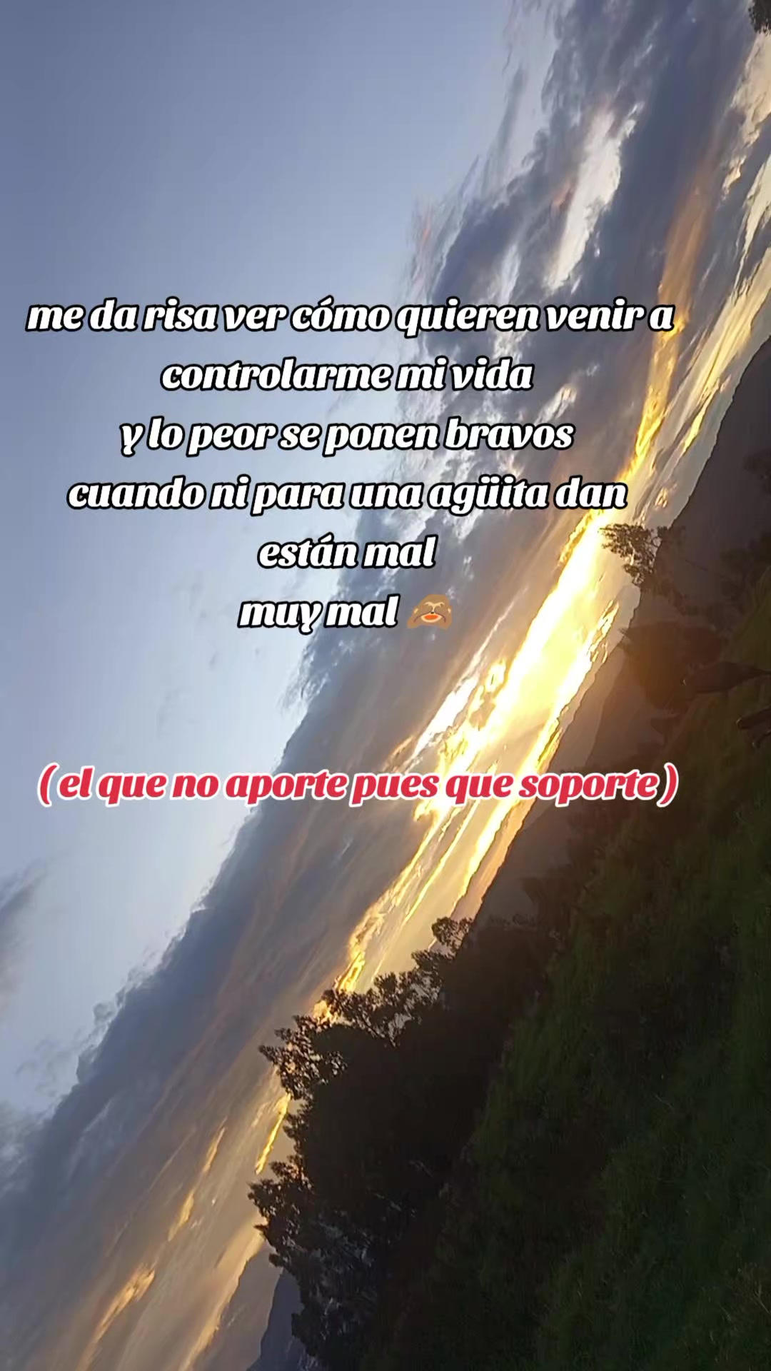 @solecito