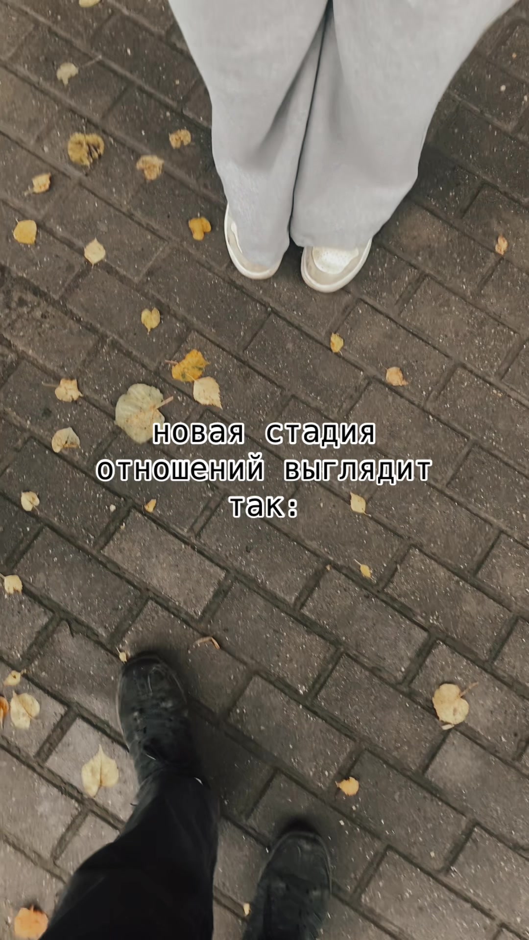 @dashkaa