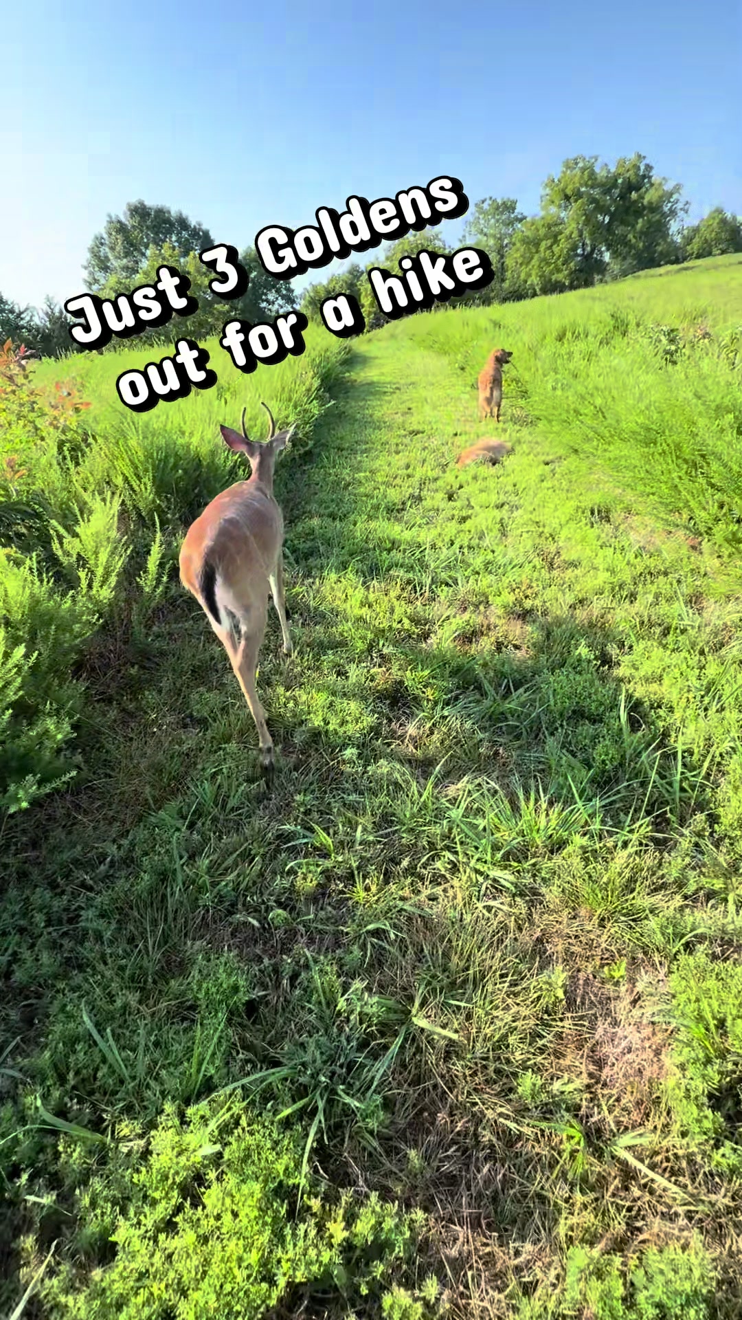 @Brownhikingtrails