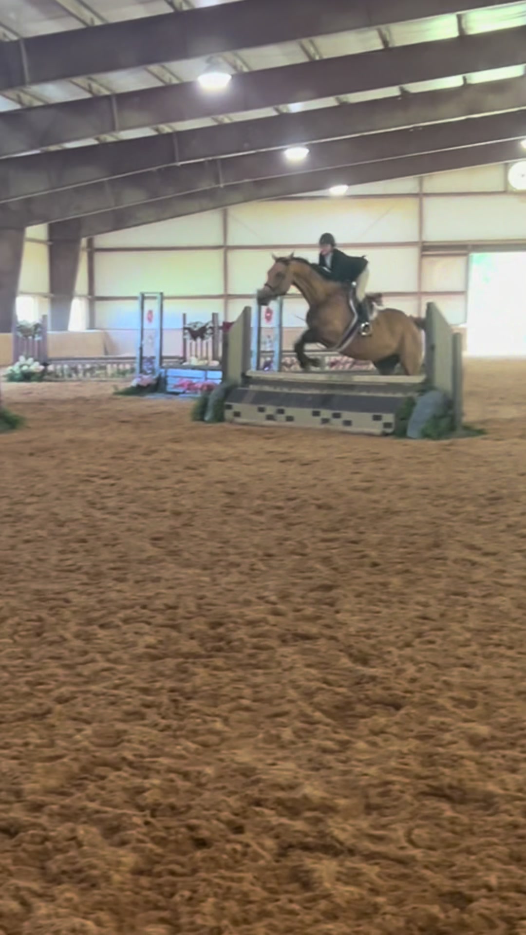 @Aftyn 🐎