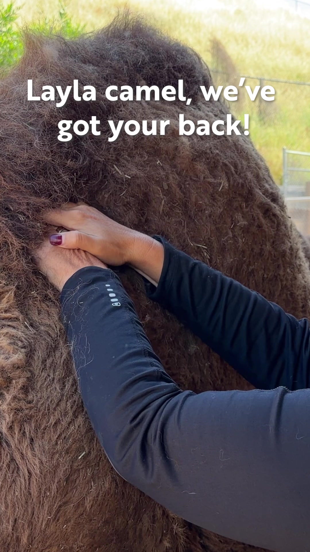 @Oakland Zoo
