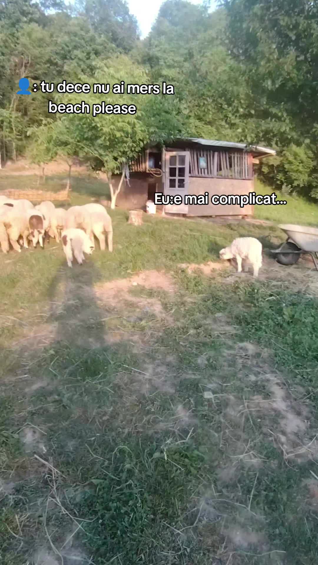 @94 MRM