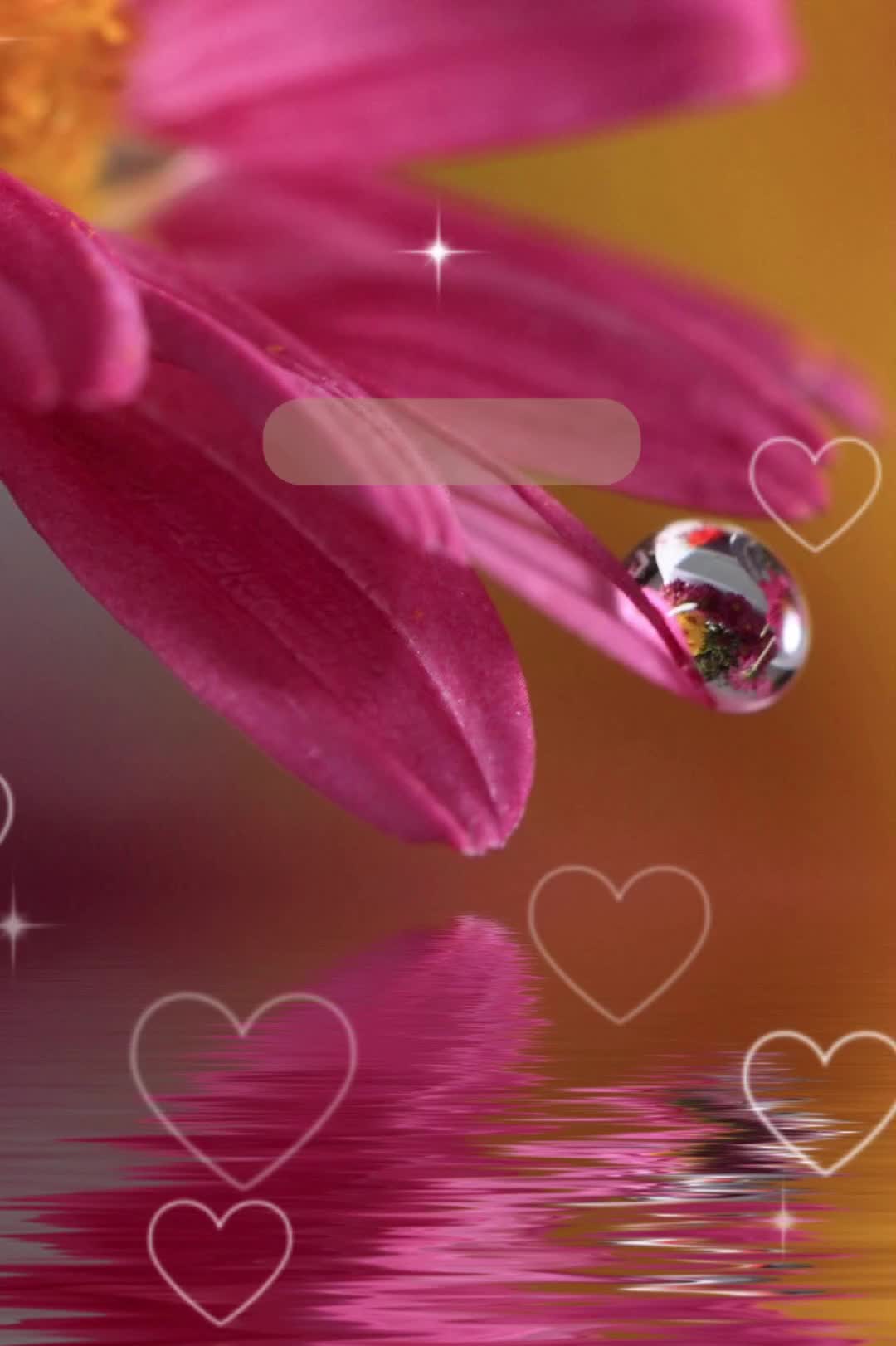 @🌹Юлия🌹
