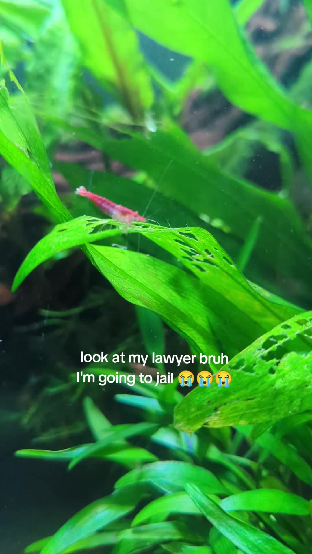 @BristolAquarium