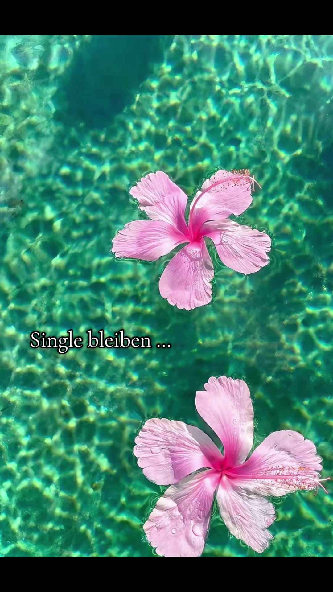 @Joenna 🌹