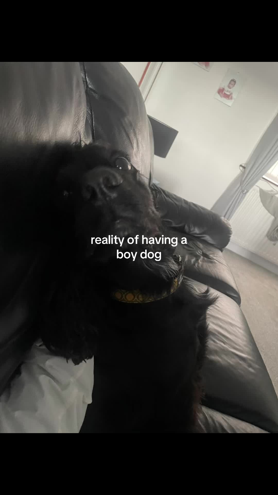 @Natalia
