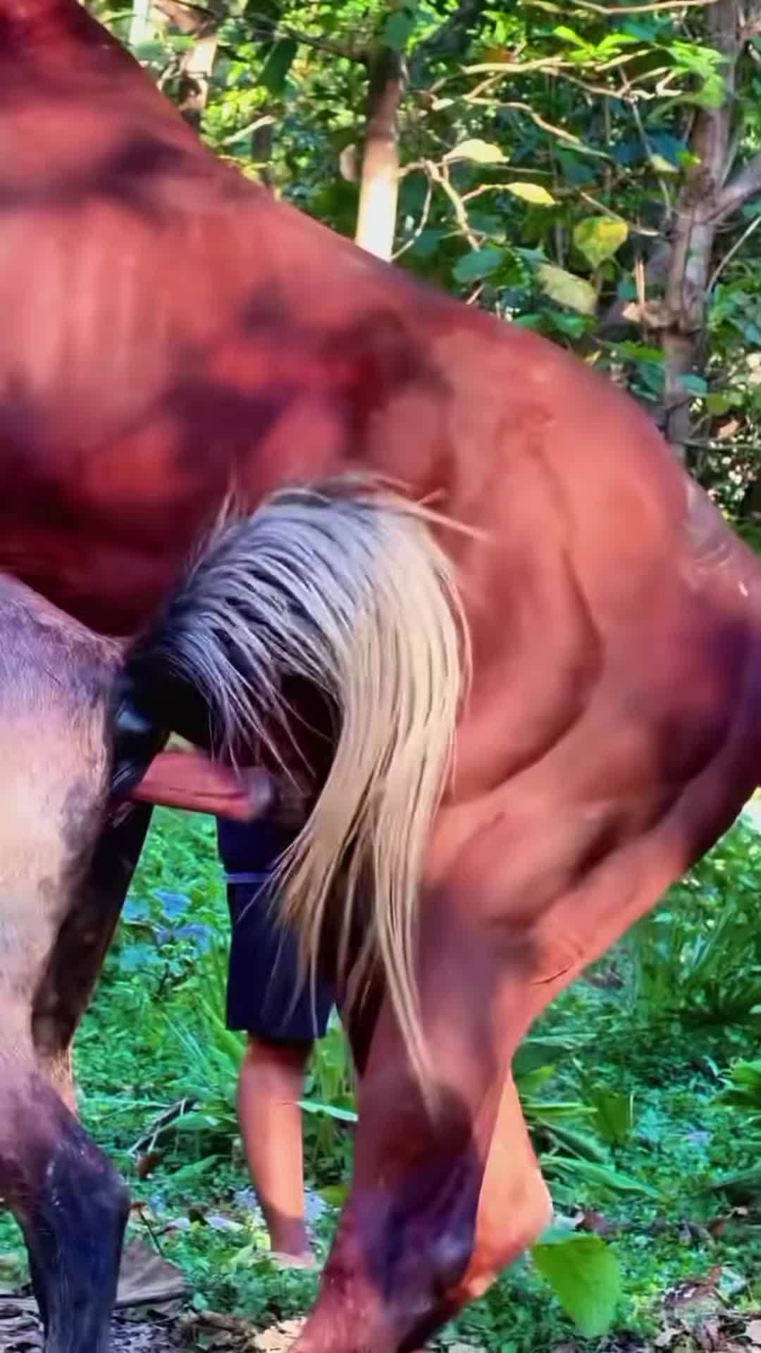 @DilKiPyas