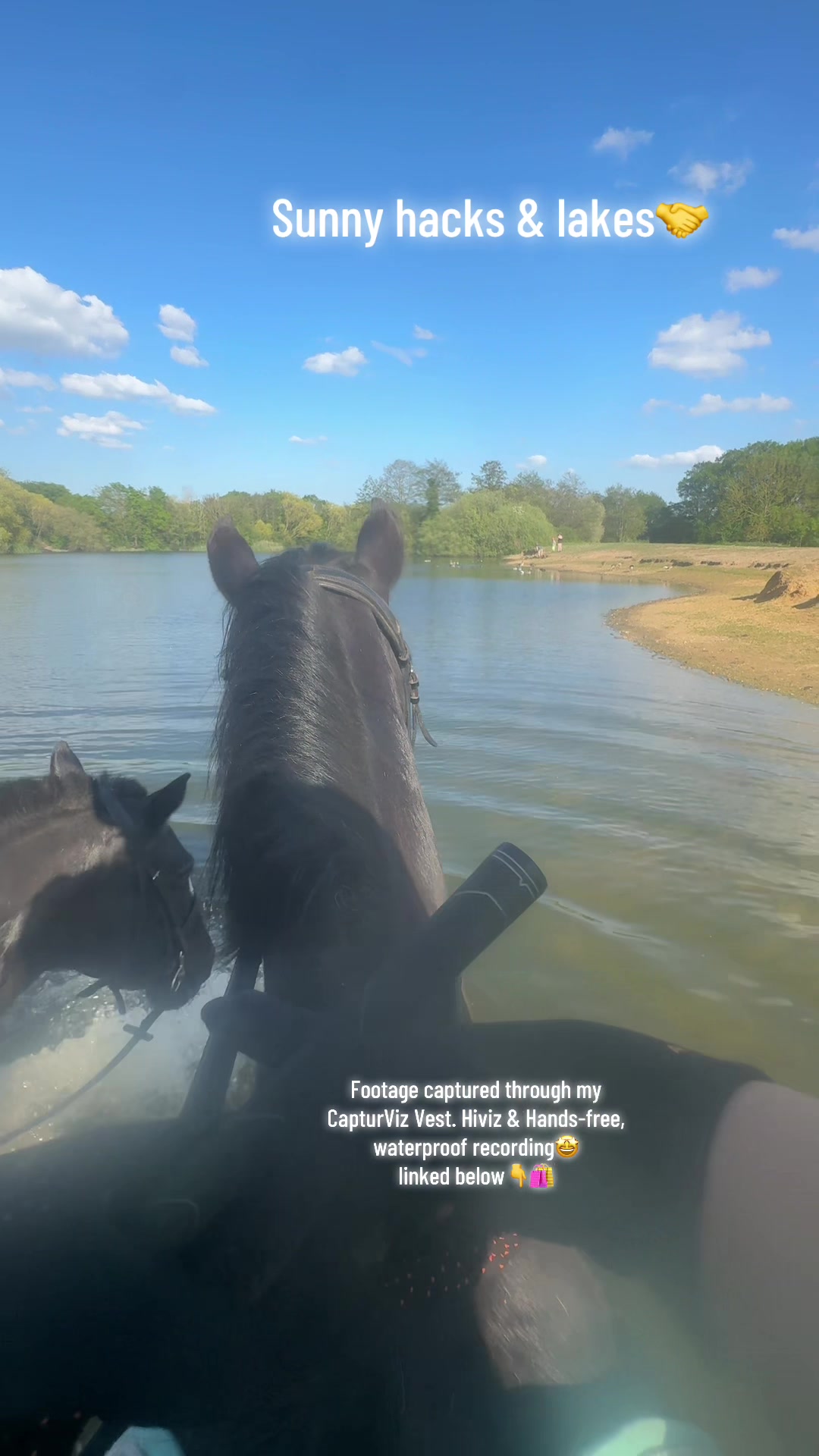 @Charlotte.Equestrian