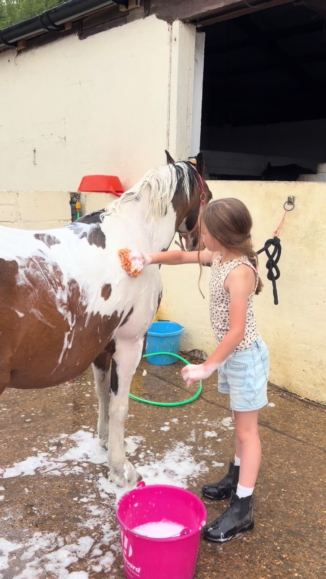 @Nina&rsquo;s Pony Adventures ❤️