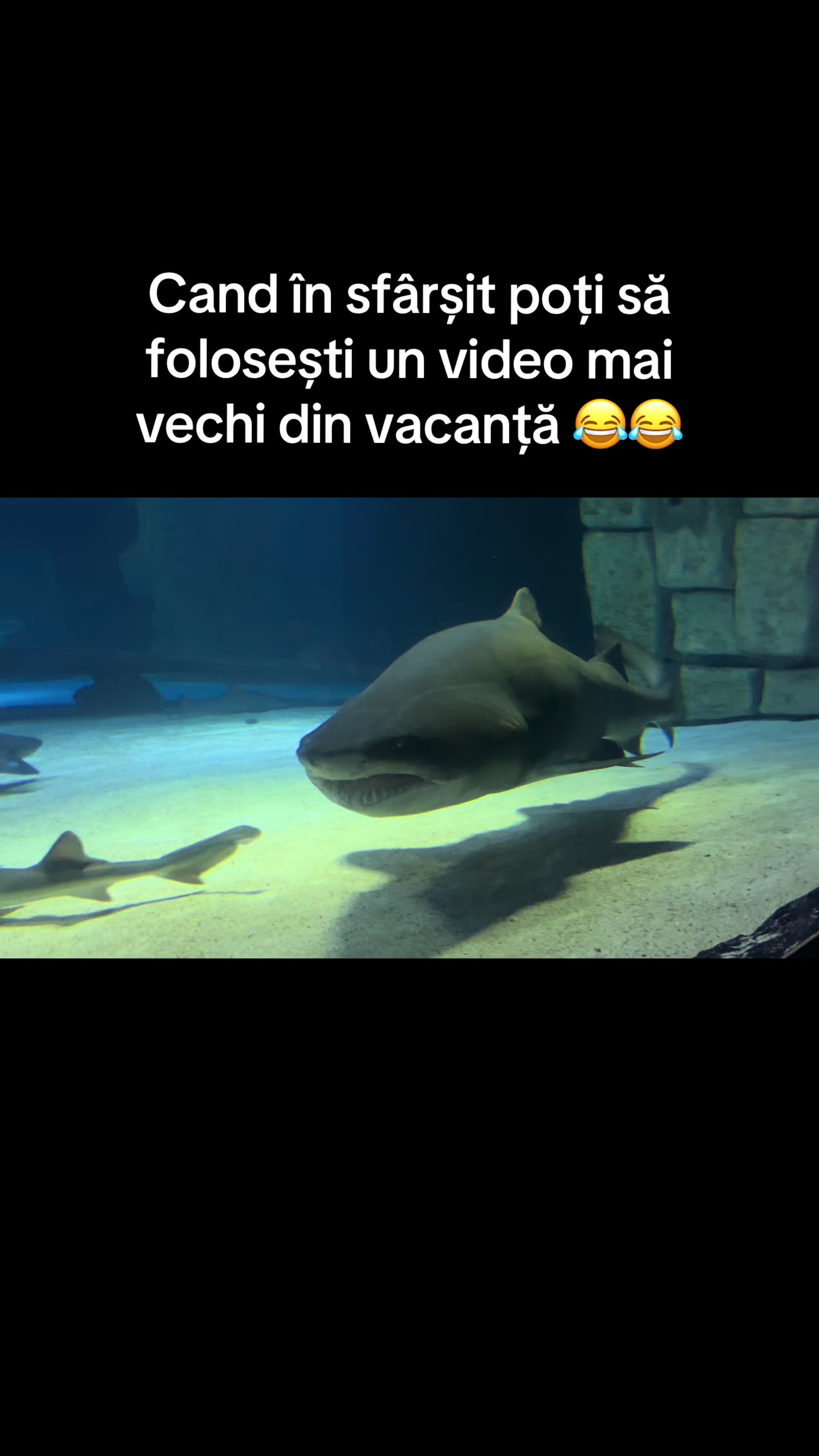 @alexandra