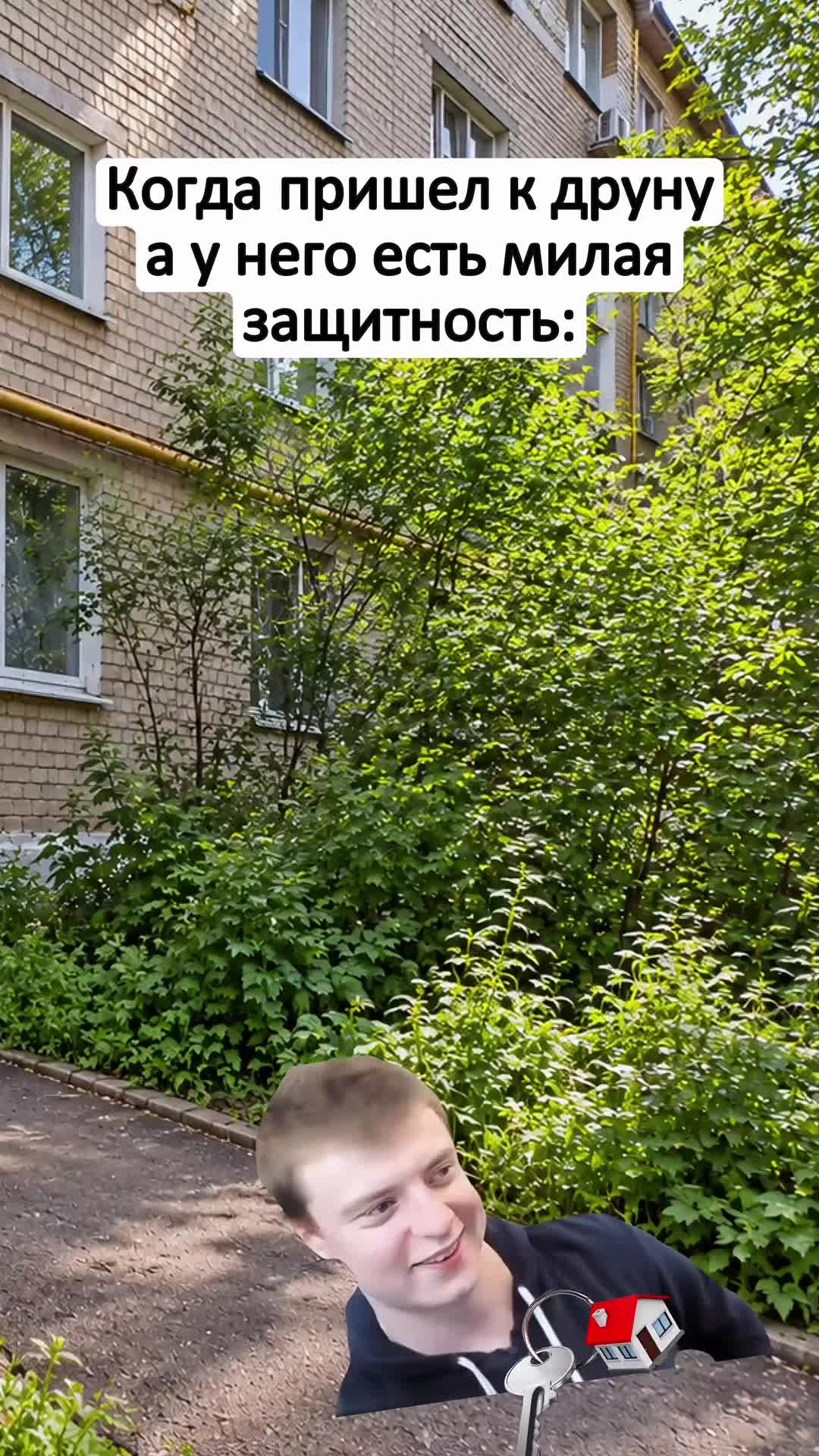 @Безумный Павлик🧸