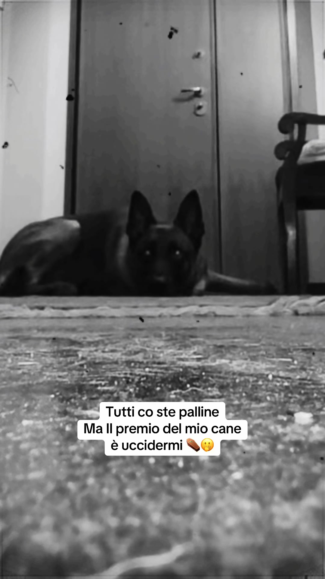@Edopit94