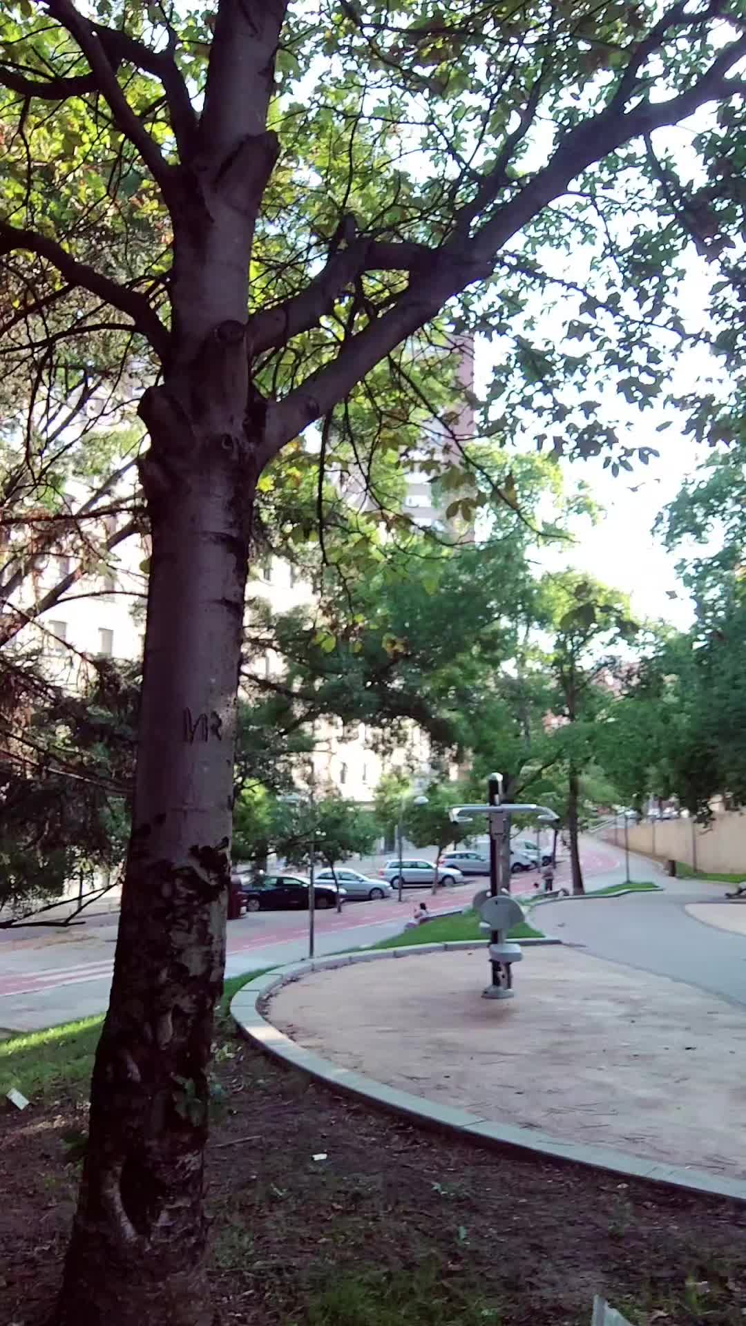 @Juana Turcios