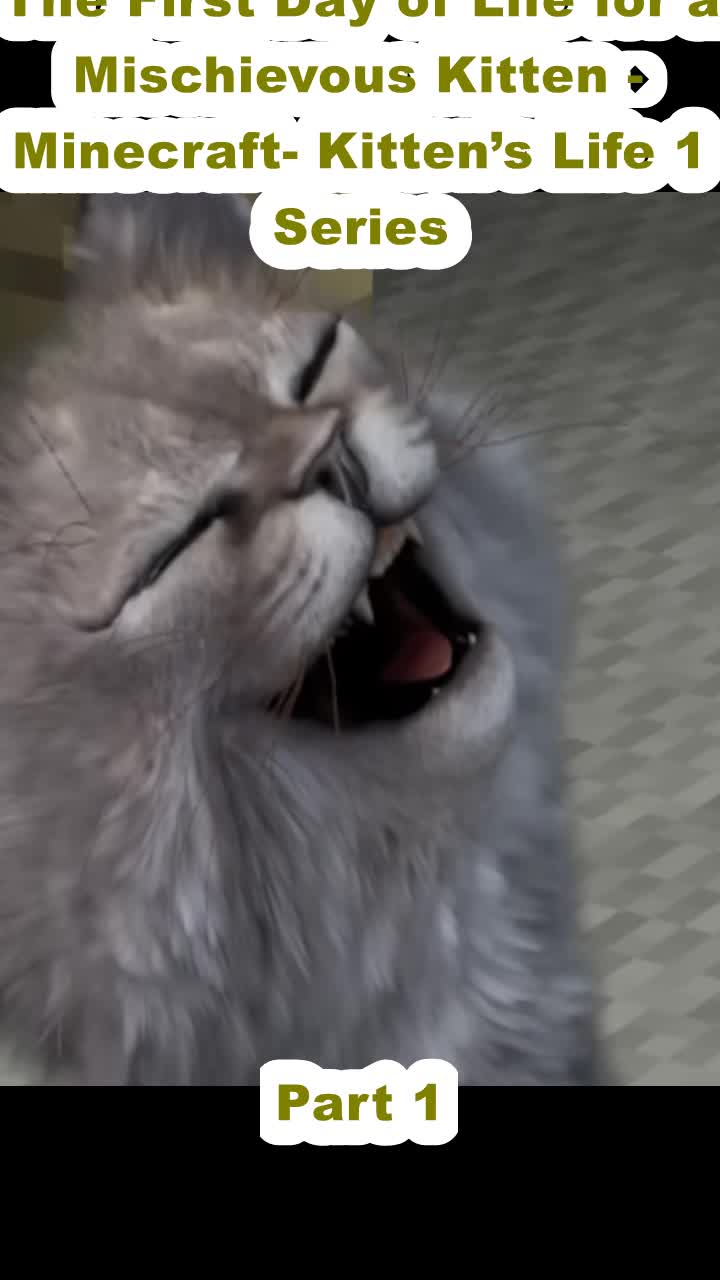 @Евгений Чернявский