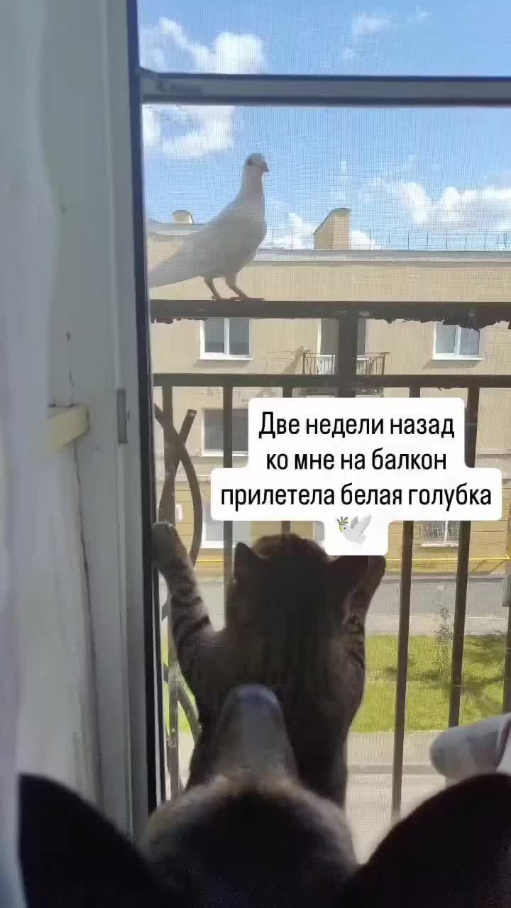 @Laimdota Spakovska