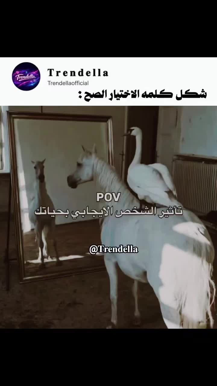 @༺༽سـ༈ۖ҉ـكـ༈ۖ҉ـر ؤُسـ༈ۖ҉ـط༼༻