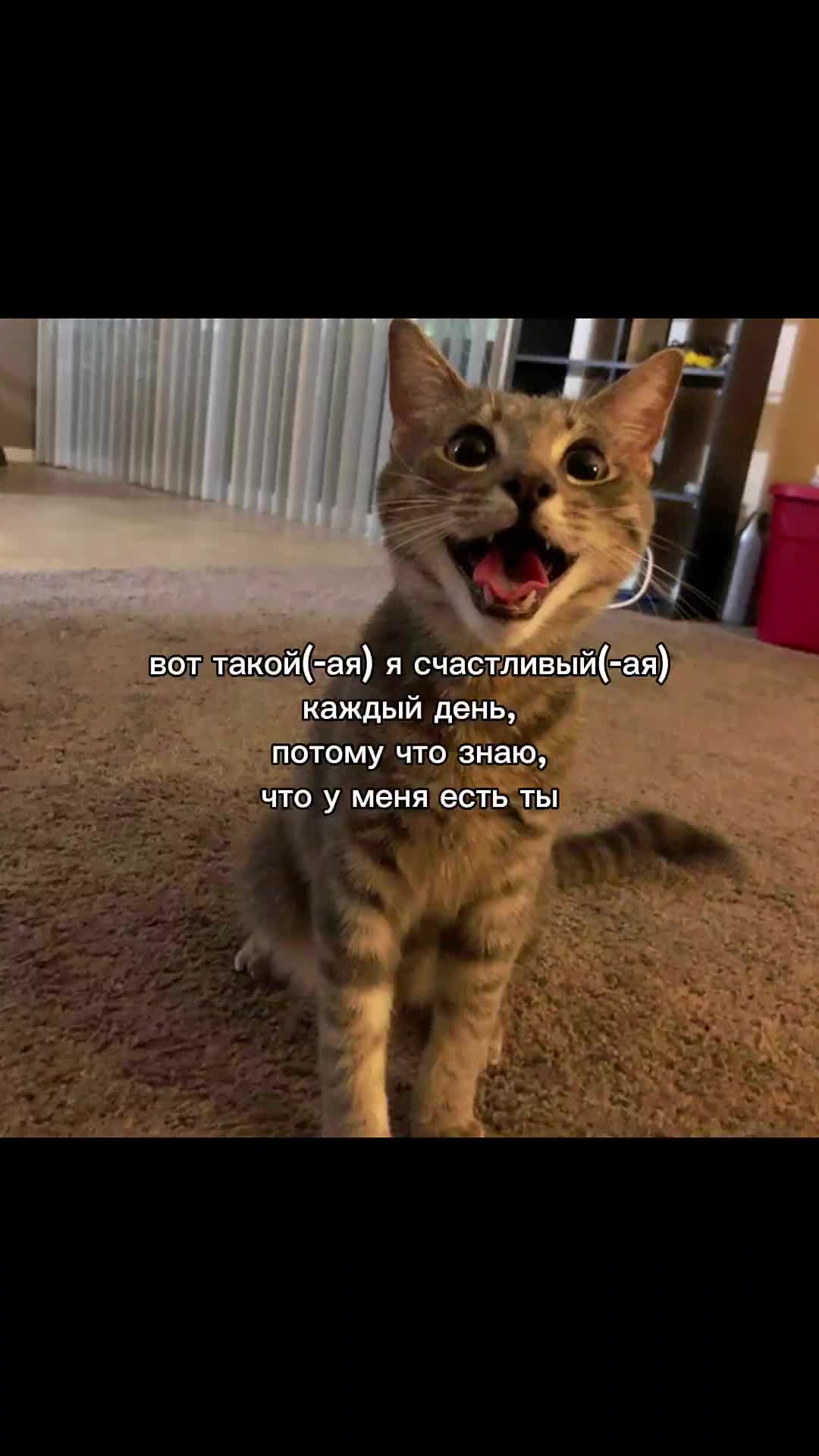 @dwee