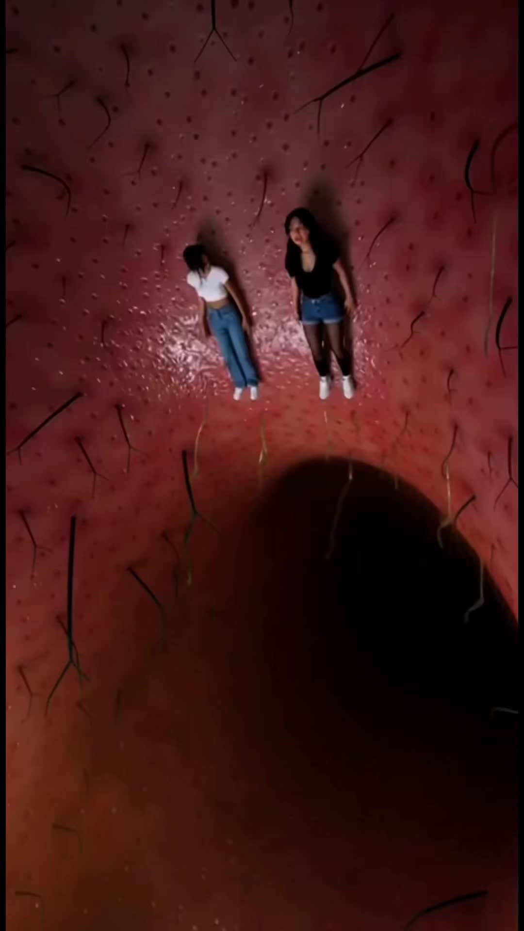 @shrinkingphenomenon