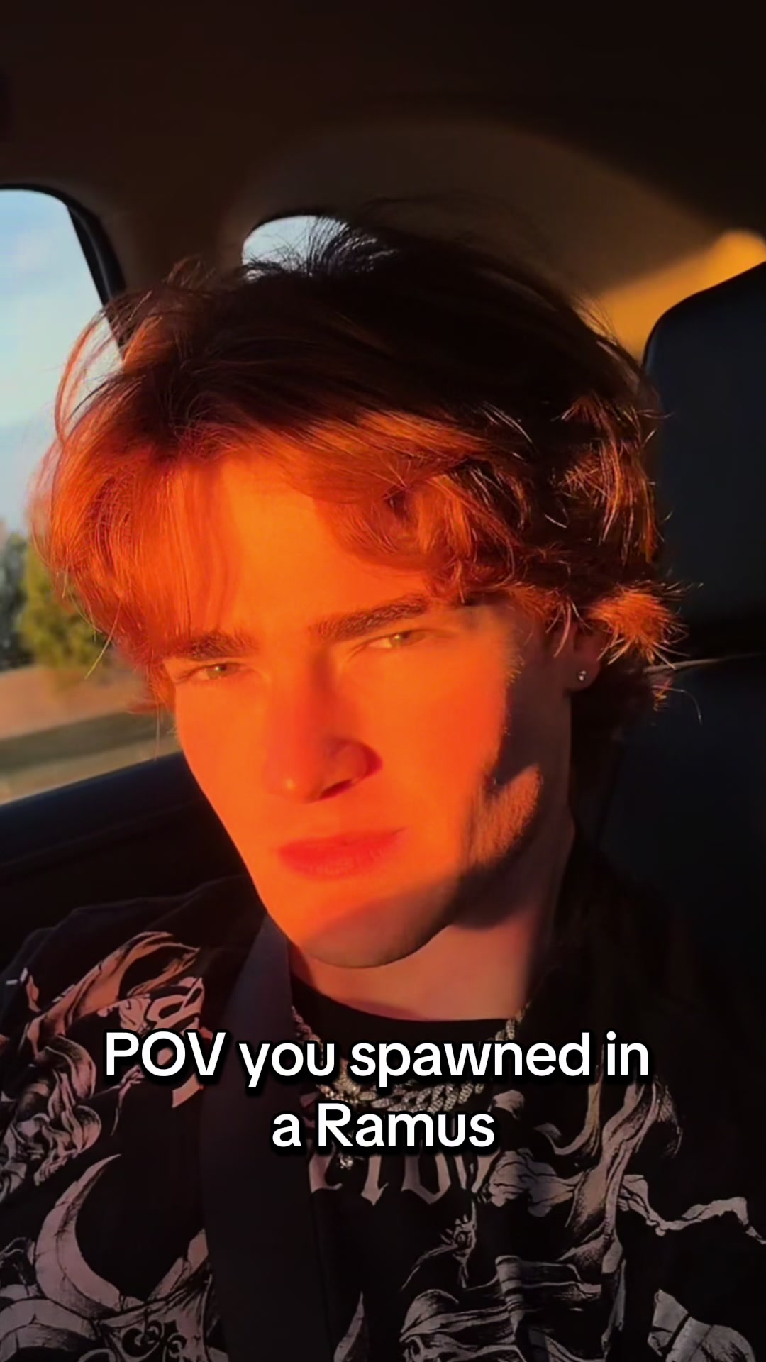 @Trevor Larcom